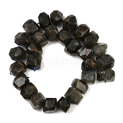 Natural Labradorite Beads Strands&nbsp;G-F796-D05-01