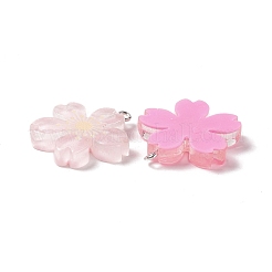 Transparent Resin Pendants&nbsp;RESI-G046-07P