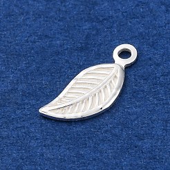 925 Sterling Silver Charms&nbsp;STER-D301-04S-04