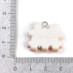 Resin Pendants&nbsp;RESI-I061-08C