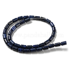 Natural Lapis Lazuli Beads Strands&nbsp;G-M420-E02-03