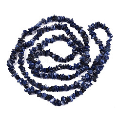 Natural Sodalite Beads Strands&nbsp;G-S364-080