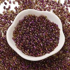 Spray Painted Glass Seed Beads&nbsp;SEED-F005-02A-02