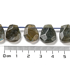 Natural Labradorite Beads Strands&nbsp;G-Z040-A03-01