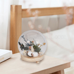 Glass Dome Cover&nbsp;AJEW-WH0401-76B