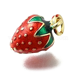Brass with Enamel Charms&nbsp;KK-Q066-01B-G