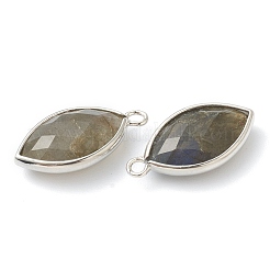 Natural Labradorite Pendants&nbsp;G-B009-01P-G