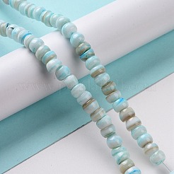 Natural Cultured Freshwater Shell Beads Strands&nbsp;SHEL-F002-01B