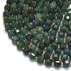Natural Moss Agate Beads Strands&nbsp;G-K389-A50-01