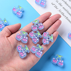 Transparent Acrylic Beads&nbsp;X-MACR-S374-04B-04