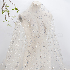 Sequin Polyester Lace Fabric&nbsp;DIY-WH0622-147A