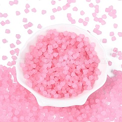 FGB Frosted Transparent Glass Seed Beads&nbsp;SEED-N013-03A-05