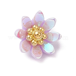 Resin Charms&nbsp;PALLOY-JF03254-02