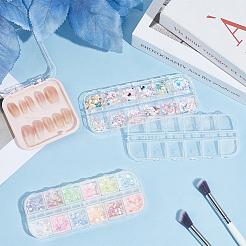 12-grid PET & Aluminum & ABS & Styrene Nail Art Decoration&nbsp;MRMJ-SP0001-31