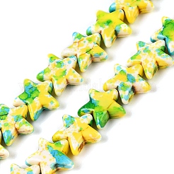 Spray Painted Synthetic Turquoise Beads Strands&nbsp;LS-UNKW-T001-11C