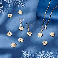 Alloy Charms&nbsp;FIND-SC0002-53