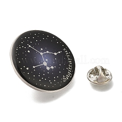 Twelve Constellation Creative Alloy Badges Constellation Brooches&nbsp;LS-JEWB-S033-01P-I