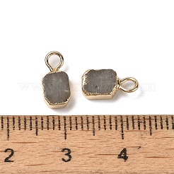 Natural Labradorite Rectangle Charms&nbsp;G-Q169-07G-11