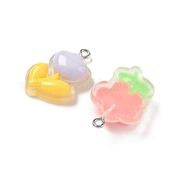 Transparent Resin Pendants&nbsp;RESI-I339-02P