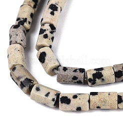 Natural Dalmatian Jasper Beads Strands&nbsp;GG-N002-01A-07
