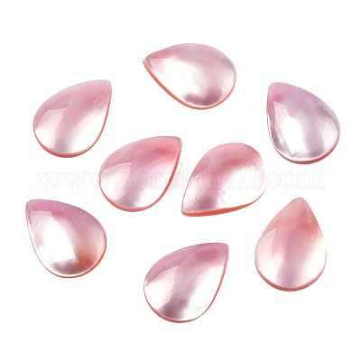 Natural Turbo Cornulus/Top Shells Cabochons&nbsp;SSHEL-N003-157B-1