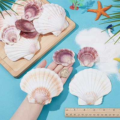 2 Styles Natural Shell&nbsp;SSHEL-WR0001-06A-1