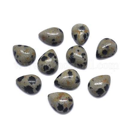 Natural Dalmatian Jasper Cabochons&nbsp;G-O175-22-11-1