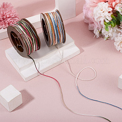 2 Rolls 2 Colors Segment Dyed Round Polyester Twisted Cords&nbsp;OCOR-TA0003-71