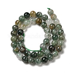 Natural Fuchsite Beads Strands&nbsp;G-K285-40B-1