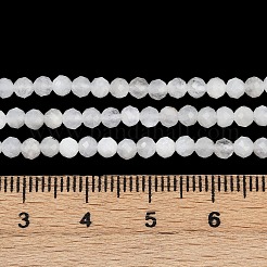 Natural Rainbow Moonstone Beads Strands&nbsp;G-RM250101-B20