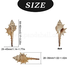 Natural Conch Shell Beads&nbsp;SSHEL-SC0001-08