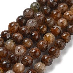 Natural Yellow Tiger Eye Beads Strands&nbsp;G-H238-8mm