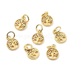 Rack Plating Brass Pendants&nbsp;X-KK-C242-02G