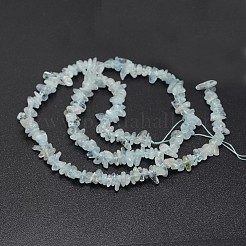 Chips Natural Aquamarine Beads Strands&nbsp;G-N0164-24