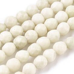 Natural Fossil Round Bead Strands&nbsp;G-O151-02-4mm