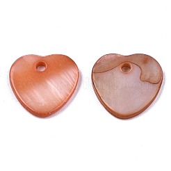 Natural Freshwater Shell Charms&nbsp;SHEL-R113-17H