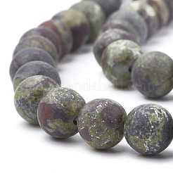 Natural Dragon Blood Stone Beads Strands&nbsp;X-G-T106-143