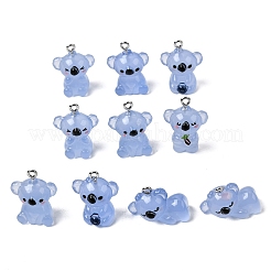 Transparent Resin Pendants&nbsp;RESI-F066-01