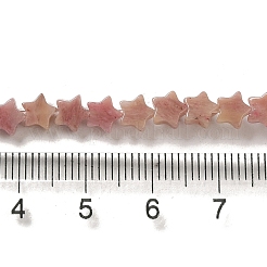 Natural Rhodonite Beads Strands&nbsp;G-G085-B34-01
