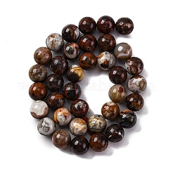 Natural Mexico Crazy Agate Beads Strands&nbsp;G-L615-A01-03