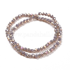 Faceted(32 Facets) Round Full Rainbow Plated Electroplate Glass Beads Strands&nbsp;EGLA-J130-FR12