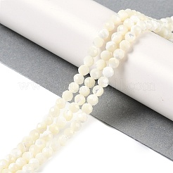 Shell Beads Strands&nbsp;SSHEL-E571-38-4mm