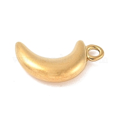 304 Stainless Steel Charms&nbsp;STAS-Q351-06G