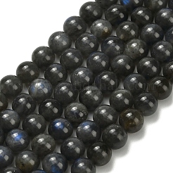 Natural Black Labradorite Beads Strands&nbsp;G-L642-B15-6mm