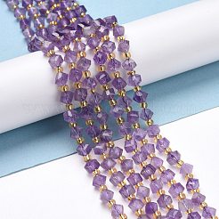 Natural Amethyst Beads Strands&nbsp;G-P463-40
