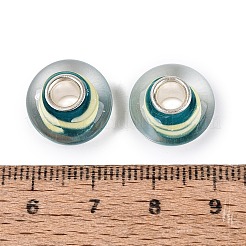 Handmade Lampwork & Brass Core European Beads&nbsp;LAMP-N044-11S-01
