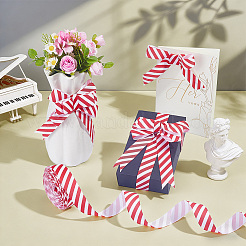 20Yards Polyester Stripe Pattern Ribbon&nbsp;OCOR-PH0036-33A