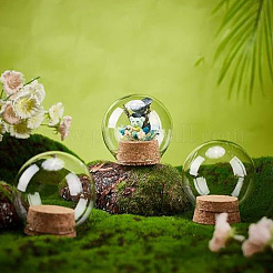 Glass Dome Cover&nbsp;FIND-DR0001-25B