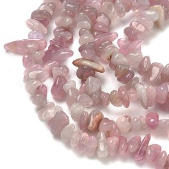 Chip Natural Madagascar Rose Quartz Bead Strands&nbsp;G-M344-50A