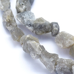 Raw Rough Natural Labradorite Beads Strands&nbsp;G-I279-B07